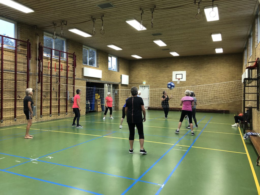 Dames spelen volleybal in een gymzaal